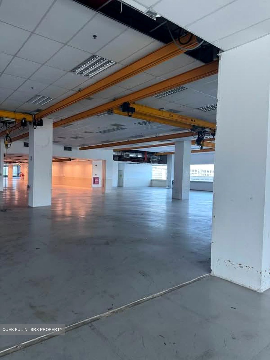 Loyang Industrial Estate (D17), Factory #561504821